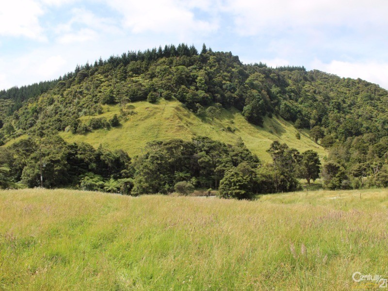 574 Makarau Road, Makarau, Auckland - Rodney, 4 chambres, 0 salles de bain