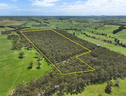 390 Old Port Campbell Road, Jancourt East, Warrnambool and South West, 2 ห้องนอน, 1 ห้องน้ำ, Lifestyle Property
