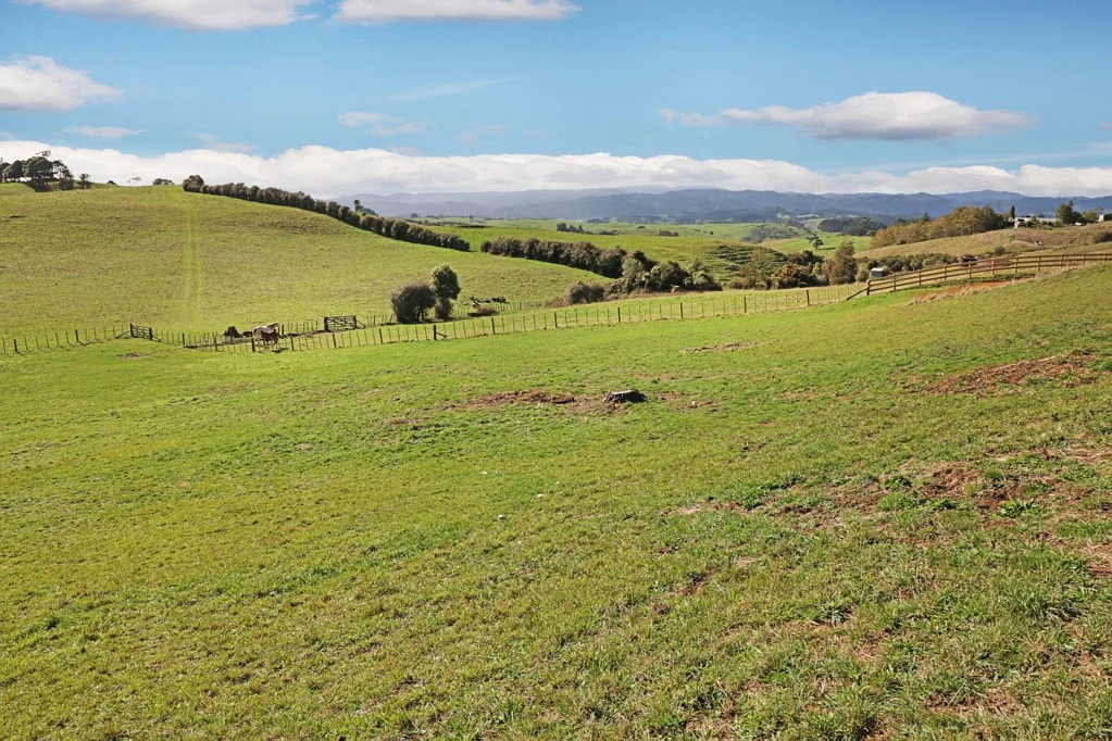 Hunua Prime Lifestyle Block - Act Now!
