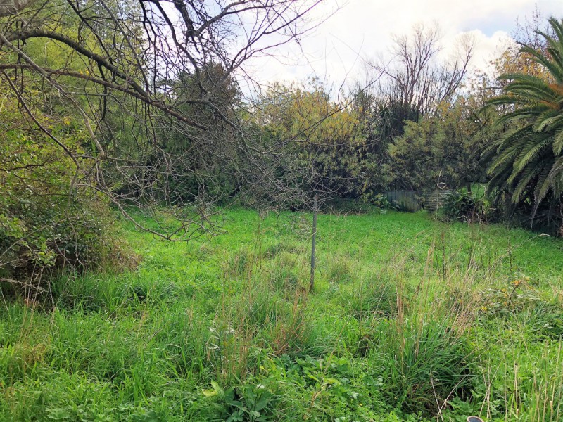 11 Grand Street, Shannon, Horowhenua, 0 rūma, 0 rūma horoi