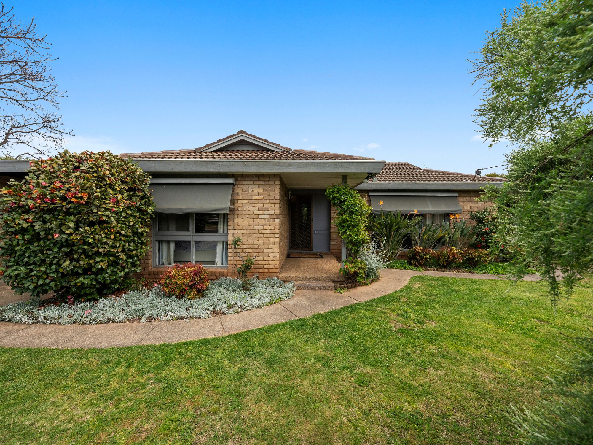 10 WARANA CT, BENALLA VIC 3672, 0房, 0浴, House