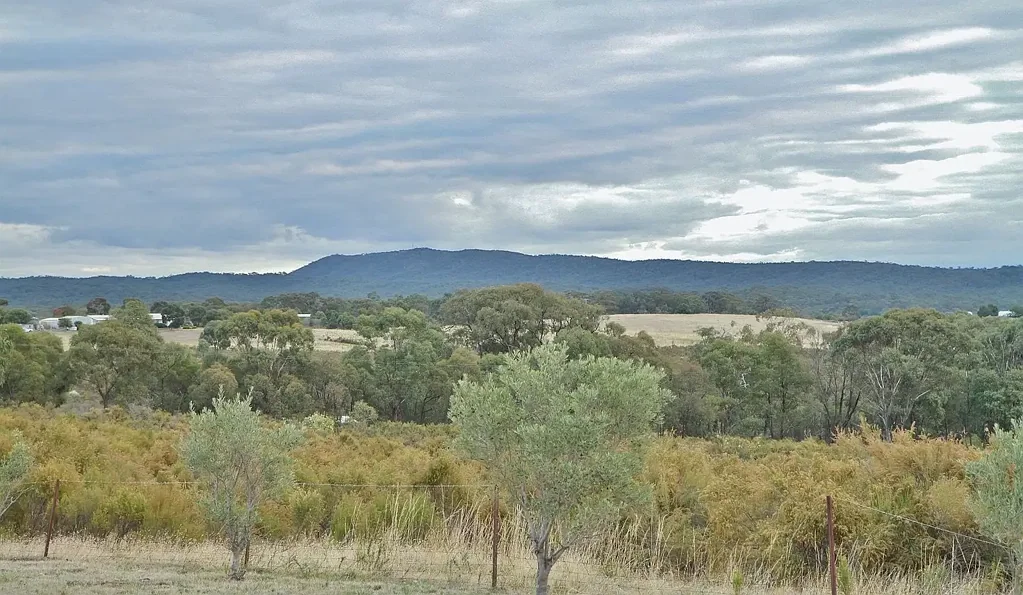 Heathcote Enjoy The Serinity