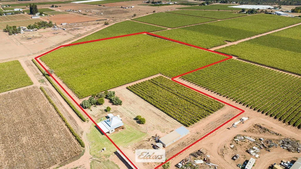 Merbein 4Kwarto Quality small vineyard with original character home.
