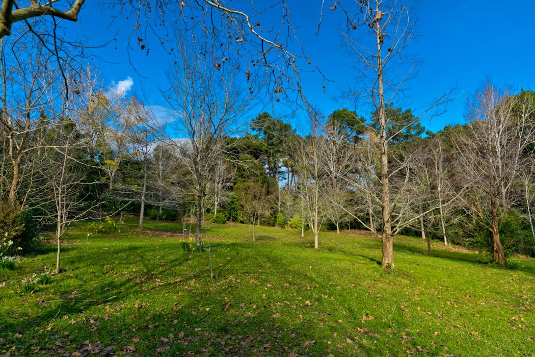 135 Upper Harbour Drive, Greenhithe, Auckland - North Shore, 3 rūma, 0 rūma horoi