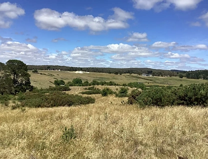 LOT 10 & 10a Daniels Road, Scarsdale, Ballarat, 0部屋, 0バスルーム, Lifestyle Property