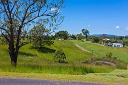 Lot 8 Peppertree Grove, Talarm