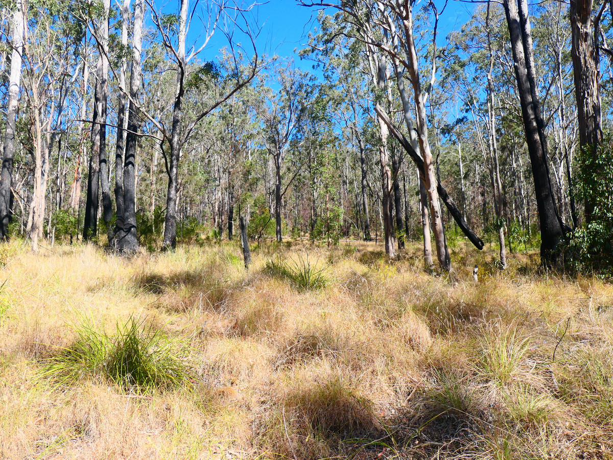 476 PADDYS FLAT RD, TABULAM NSW 2469, 0 chambres, 0 salles de bain, Lifestyle Property