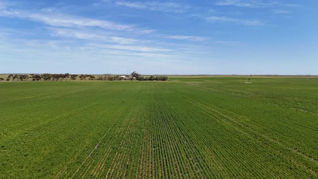 1266 Davis Rd, Pirie East, SA 5540
