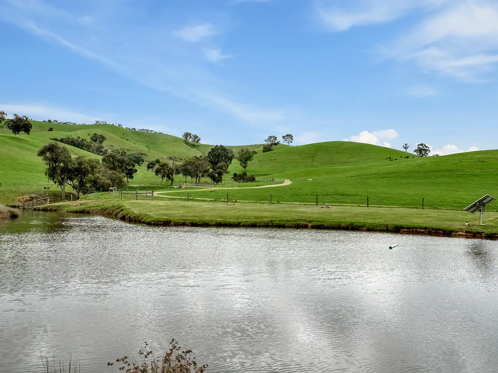 Alexandra  "Hobans" - One of Murrindindi's Best Grazing Properties