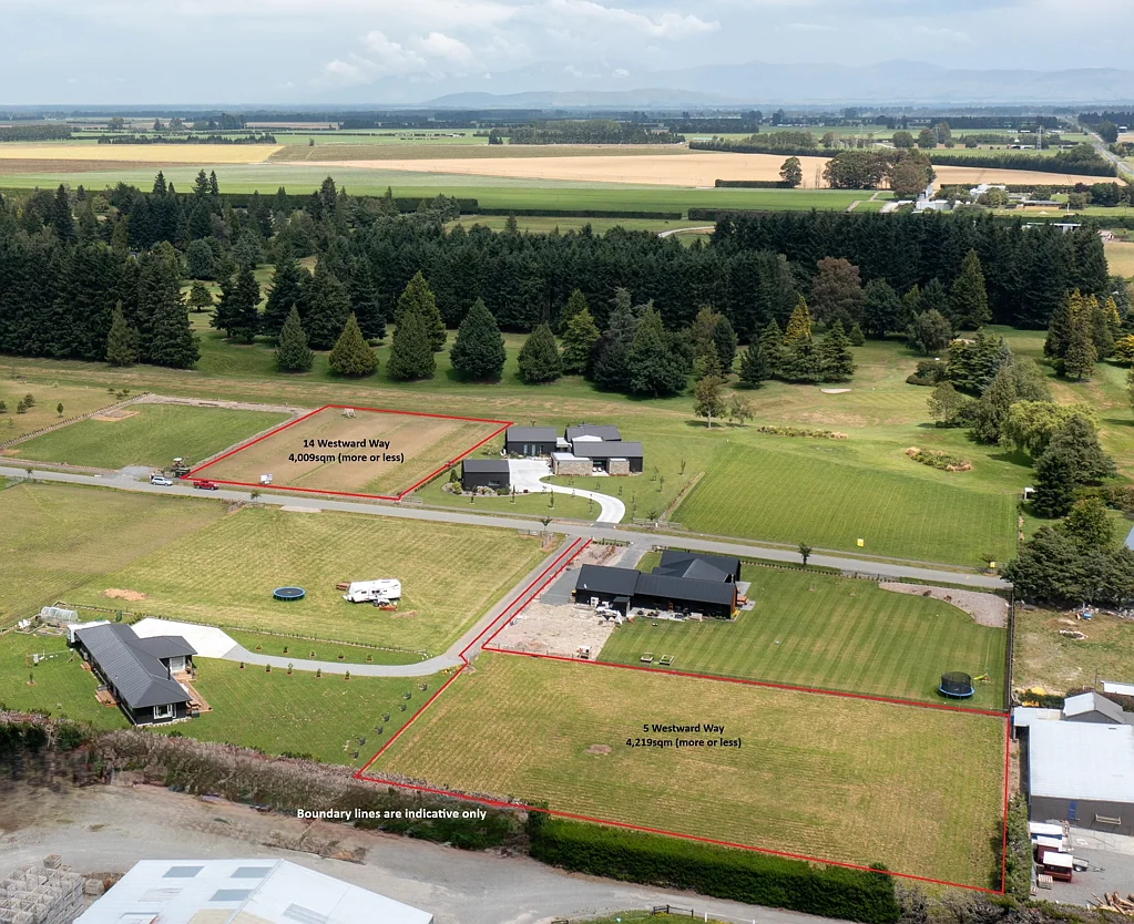 Methven Kakariki view