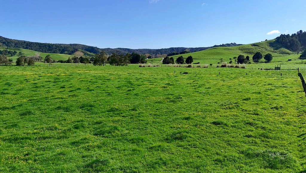 Matakana  Flat Lifestyle handy to Matakana