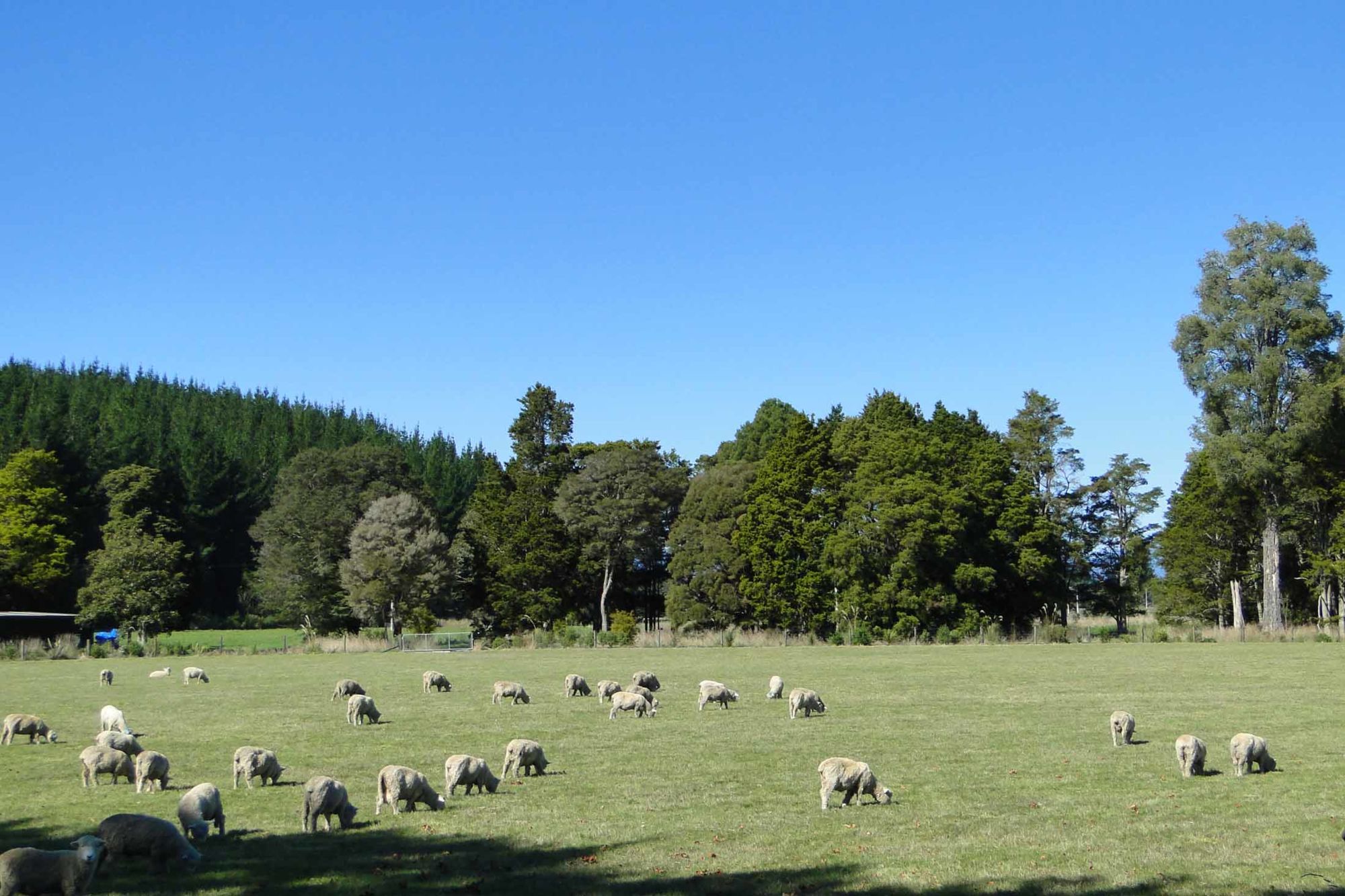 Moutere Highway, Upper Moutere, Tasman, 0 غرف, 1 حمامات