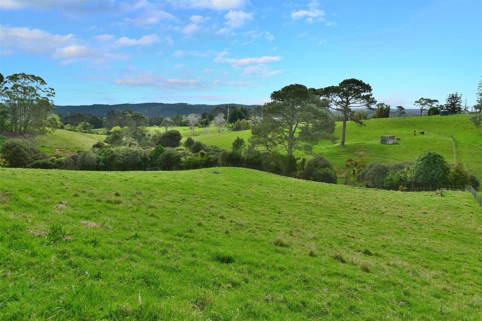 73 Lloyd Road, Riverhead, Auckland - Rodney, 4 Schlafzimmer, 0 Badezimmer