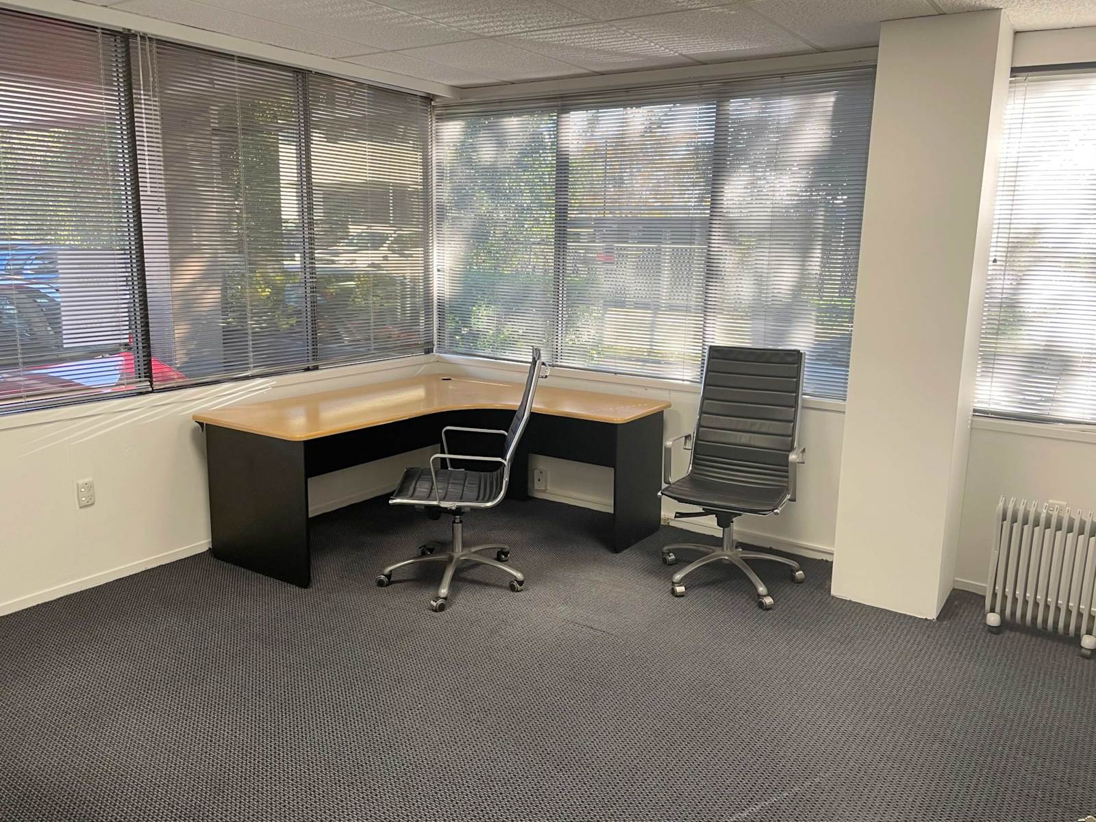 95 Manukau Road, Epsom, Auckland, 0房, 0浴, Office Premises