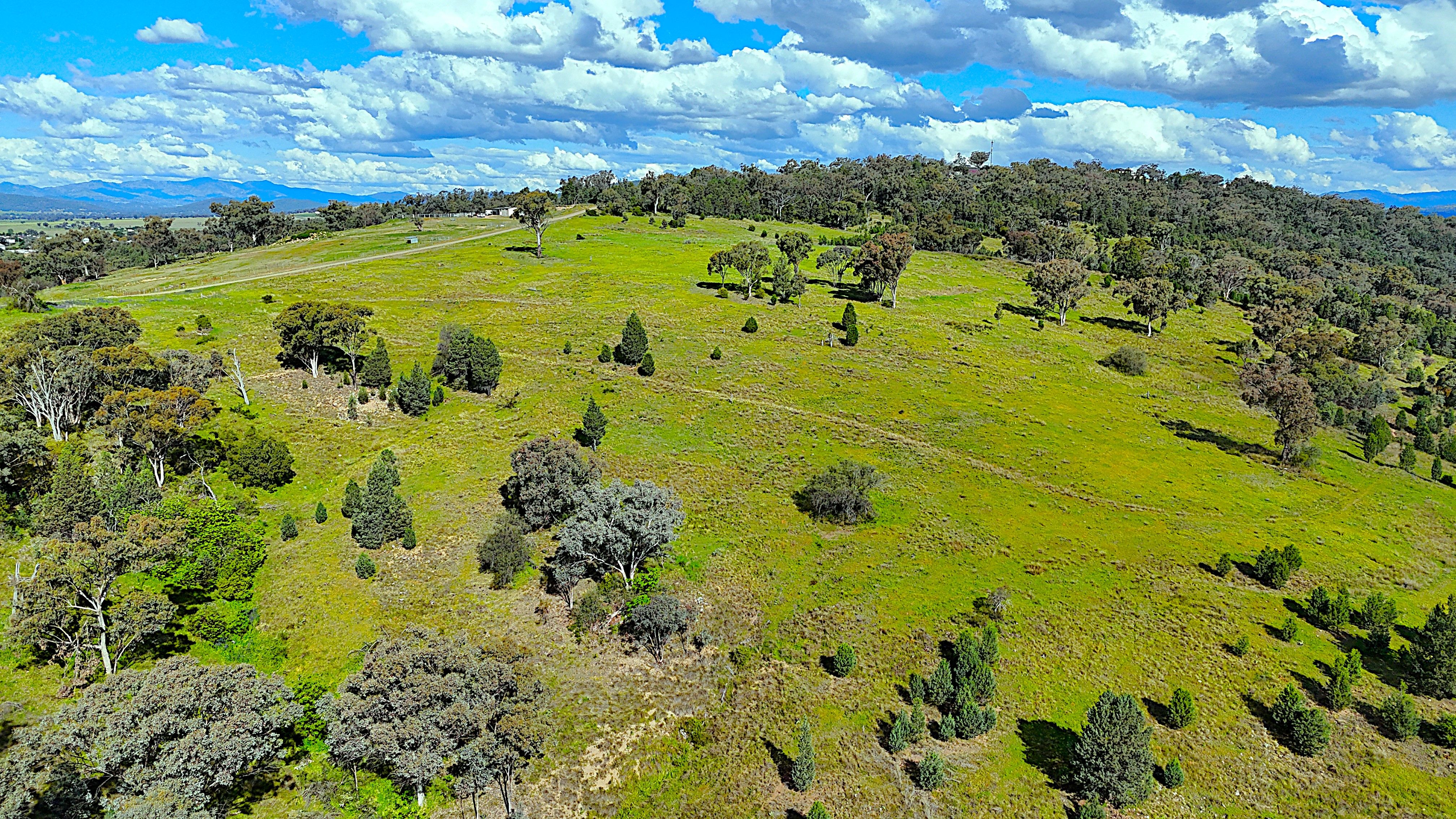 75 RAY CARTER DR, QUIRINDI NSW 2343, 0房, 0浴, Lifestyle Property