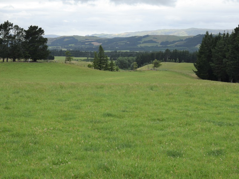 207 Megowans Road, Scargill, Hurunui, 0 habitaciones, 0 baños