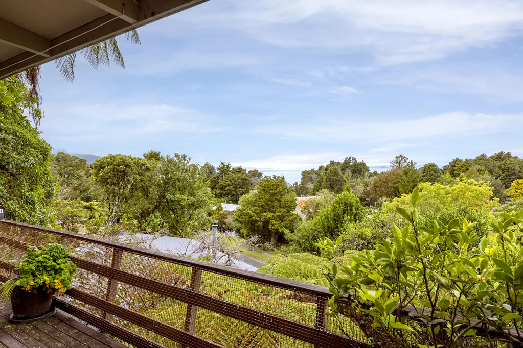 Pukawa 2部屋 Tree Top Cottage