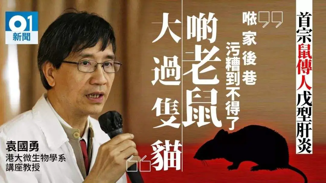 香港鼠疫大爆发？可传染给人致死！