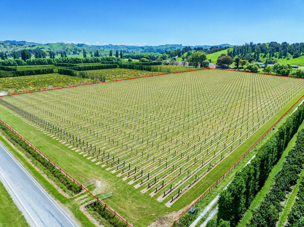 Ormond Bare land or vineyard - your choice!