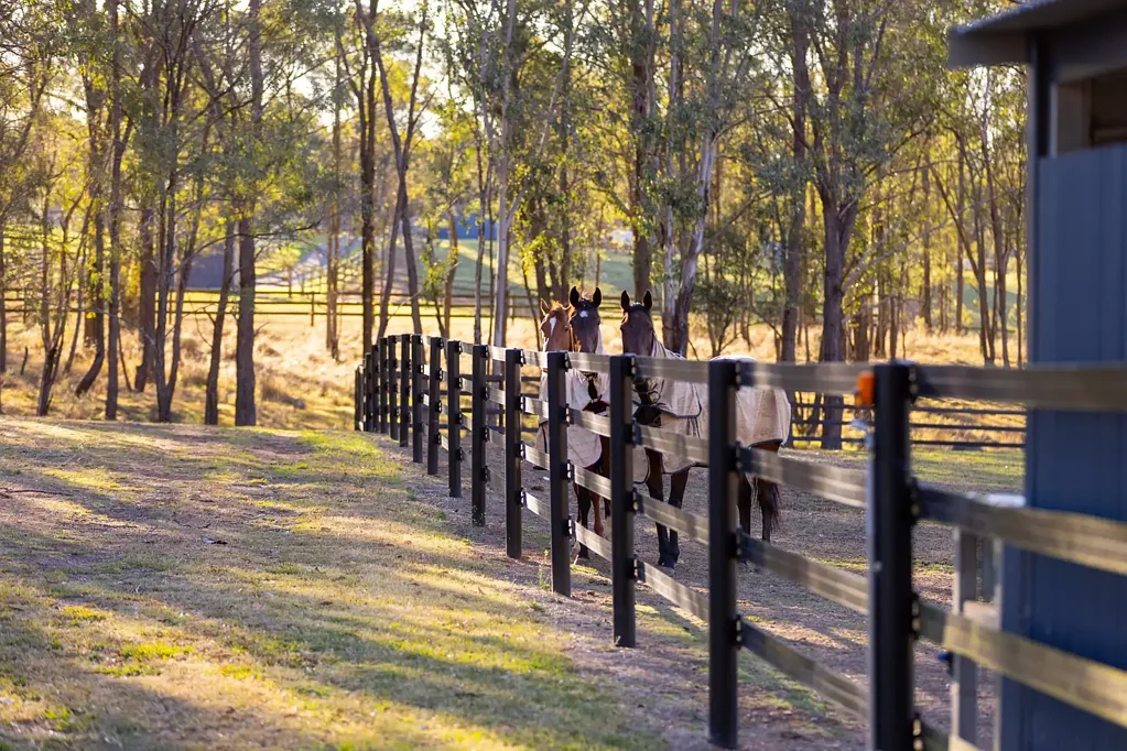 Cobbitty Celbridge Farm – Where equestrian excellence meets luxury living.