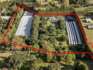 241 Rea Road, Katikati, Western Bay of Plenty