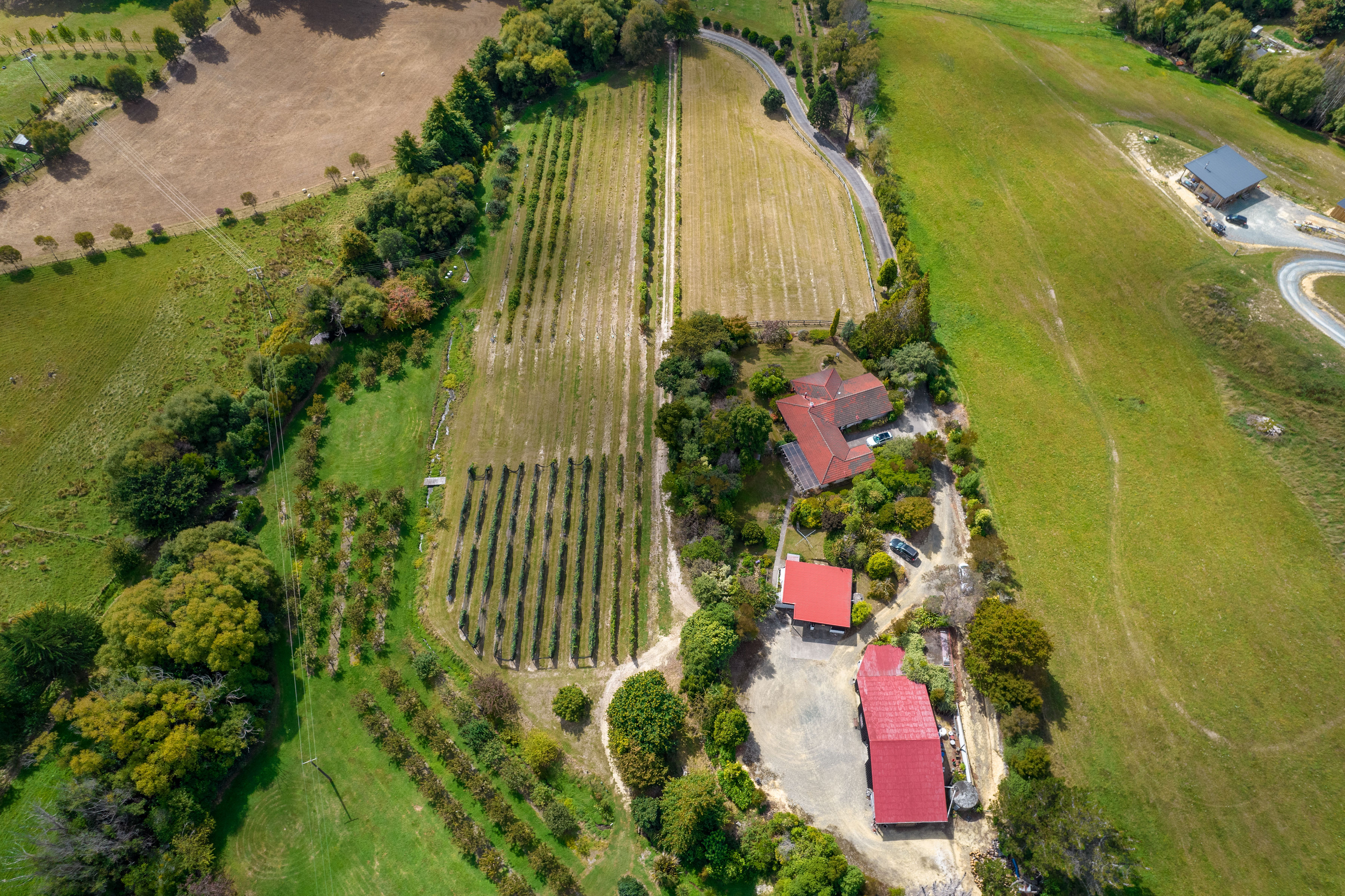 209 Stafford Drive, Ruby Bay, Tasman, 4 habitaciones, 0 baños