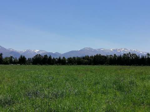 Fairlie  Lakes, Mountains and Great Vibes