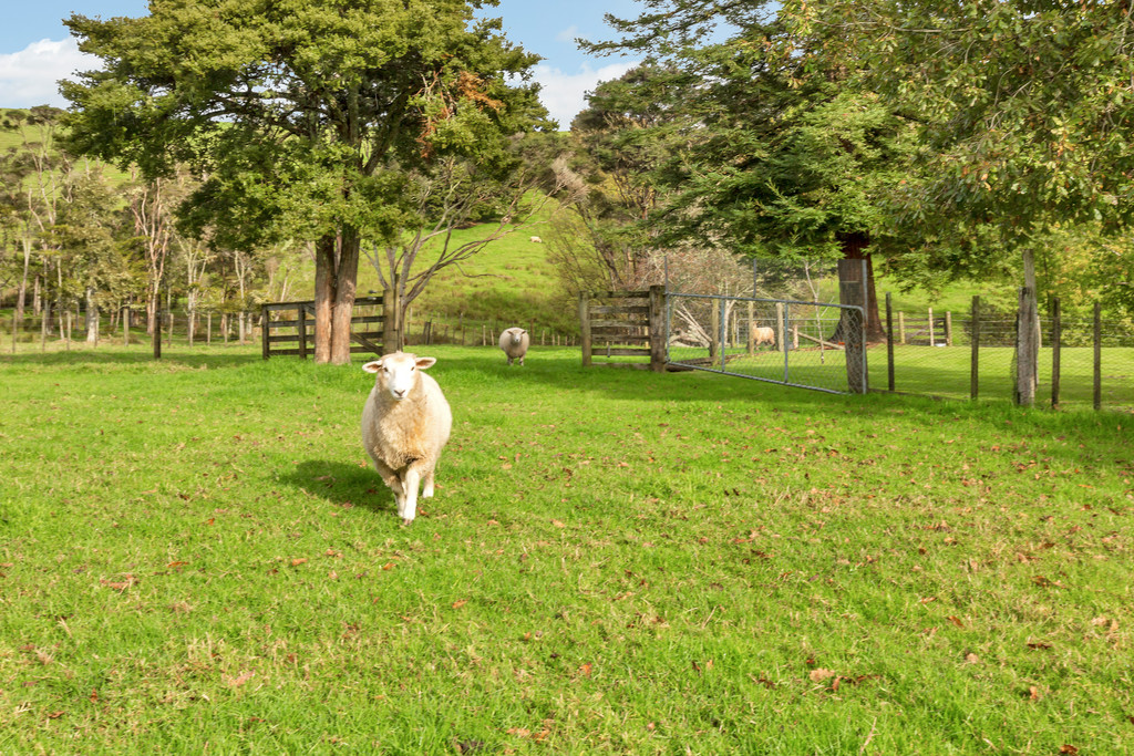 2767 State Highway 14, Tangiteroria, Kaipara, 0房, 0浴