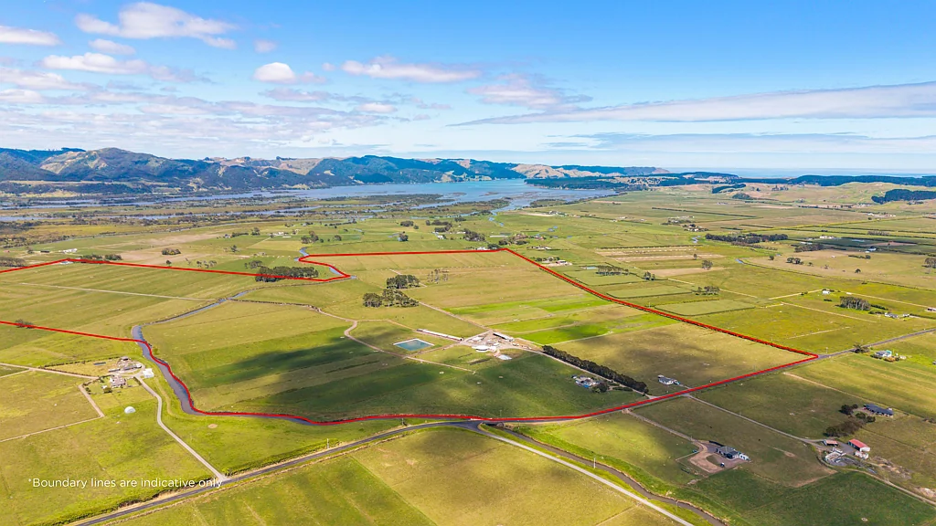 Waiuku Productive 100ha Dairy Farm