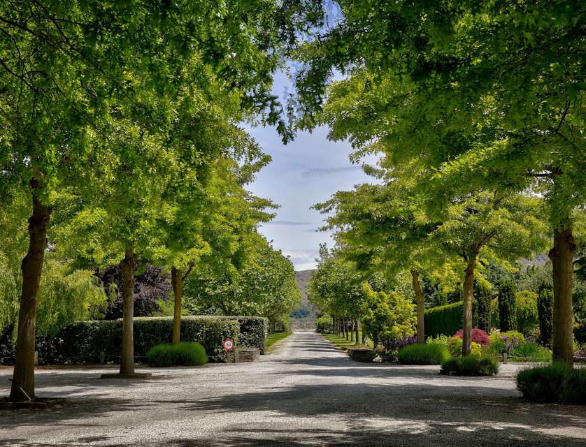 8/188 Domain Road, Dalefield/Wakatipu Basin, Queenstown, 0 habitaciones, 0 baños, Lifestyle Section