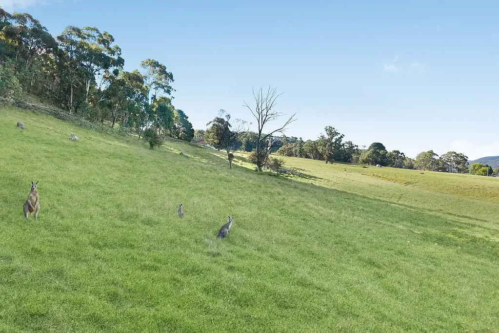 Lithgow  A Rare Lifestyle Opportunity in Scenic South Bowenfels