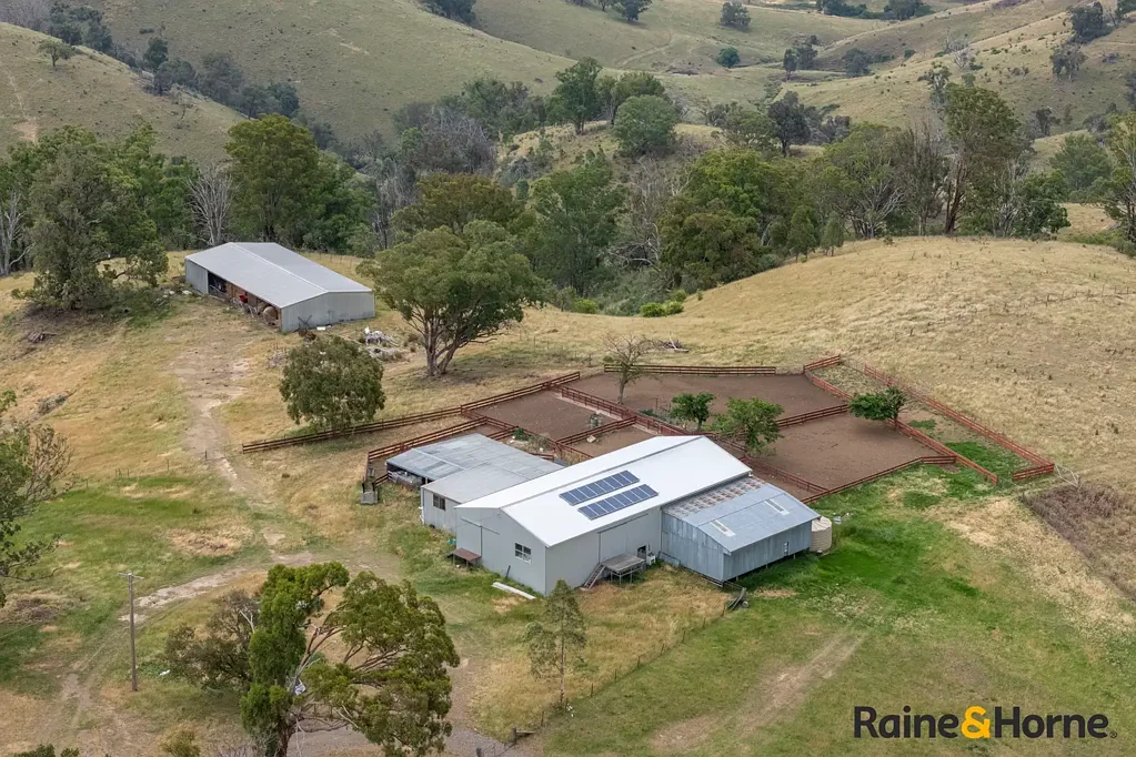 Walcha Blair Athol and Wavering Downs