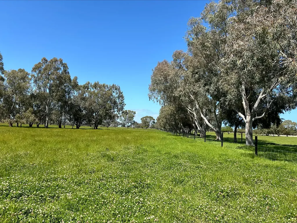 127 Richter Road, West Coolup, WA 6214