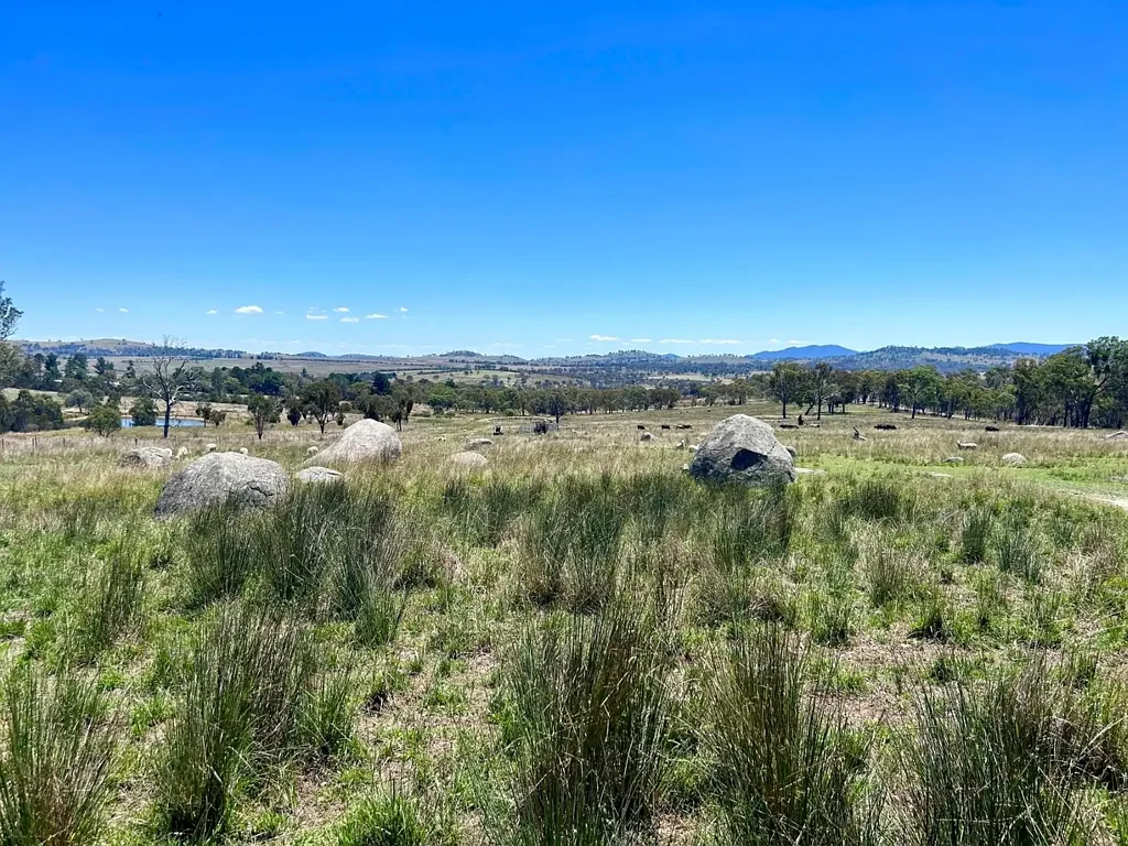 Uralla  IMPRESSIVE SMALL ACRES CLOSE TO URALLA