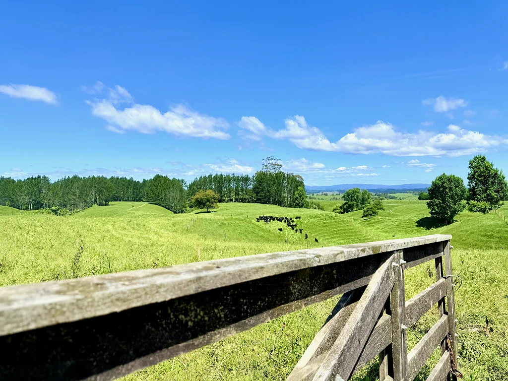 Te Puke Top Quality Bare Land