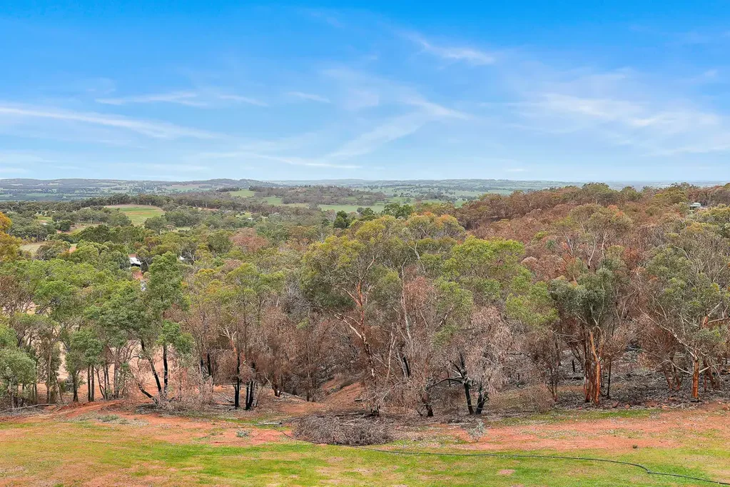 Wandering 5غرفة نوم Stunning Queenslander Home with Panoramic Views on Acreage Property in the Blackboy Springs Estate, Wandering
