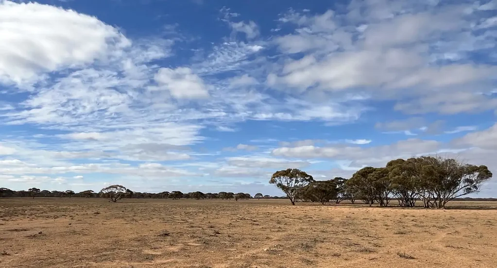 Lot 32 Schwerdt Road, Bower, SA 5374