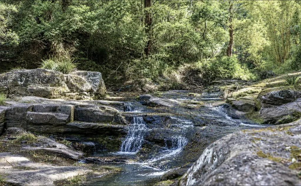 Eudlo 7Moenga 17 Acres, 2 Homes, Freshwater Creek & Thriving Eco-Accommodation