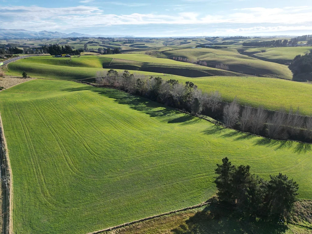 Balclutha  Prime location - Multiple titles, multiple options