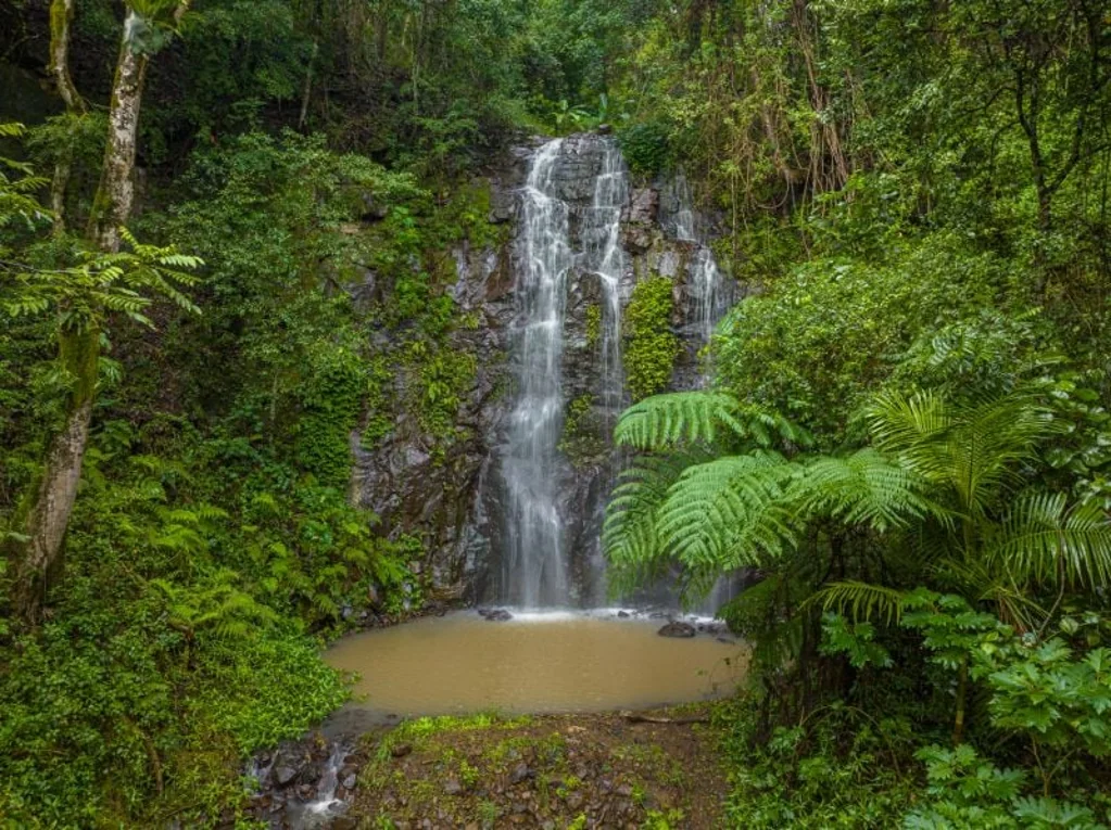 Nimbin Nimbins' Waterfall Retreat