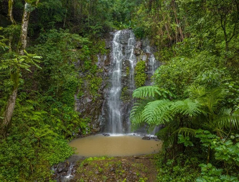 14 Weismantel Road, Nimbin, NSW 2480, 6 Kuwarto, 4 Banyo, Lifestyle Property