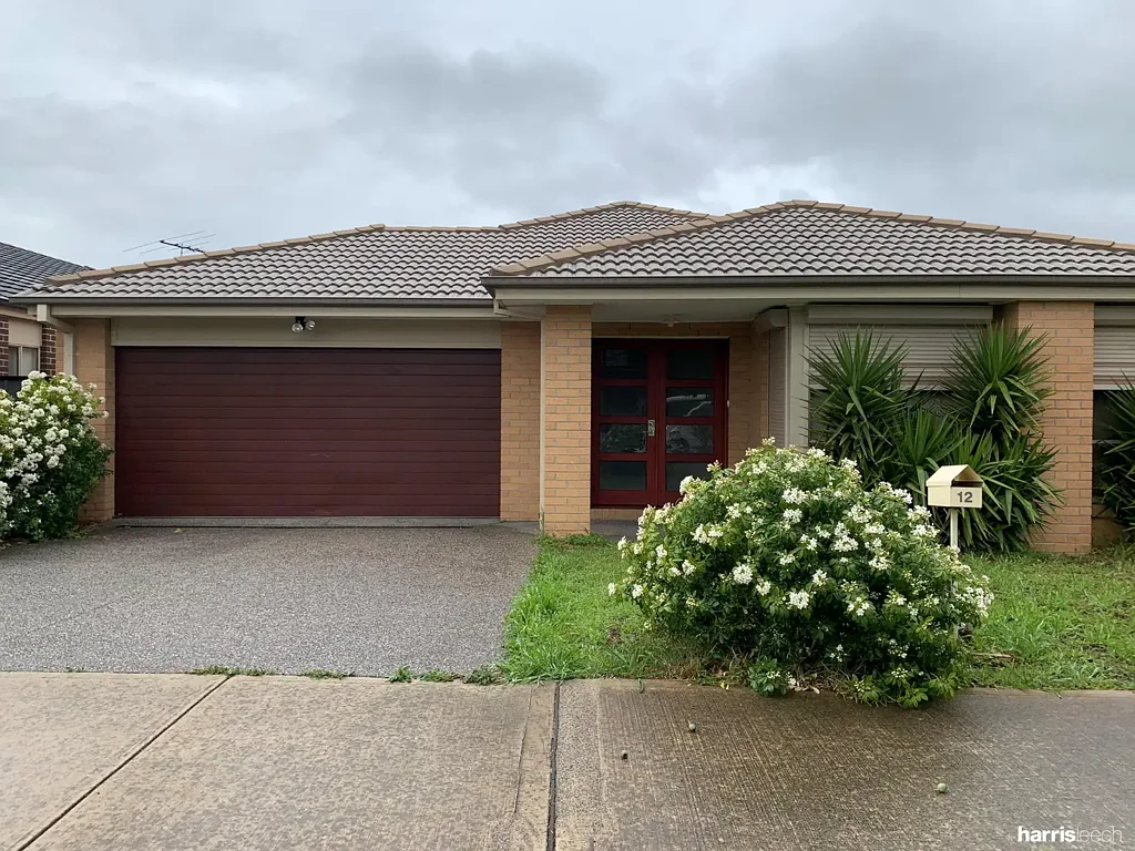 Four Bedroom Family Home In The Heart Of Craigieburn !