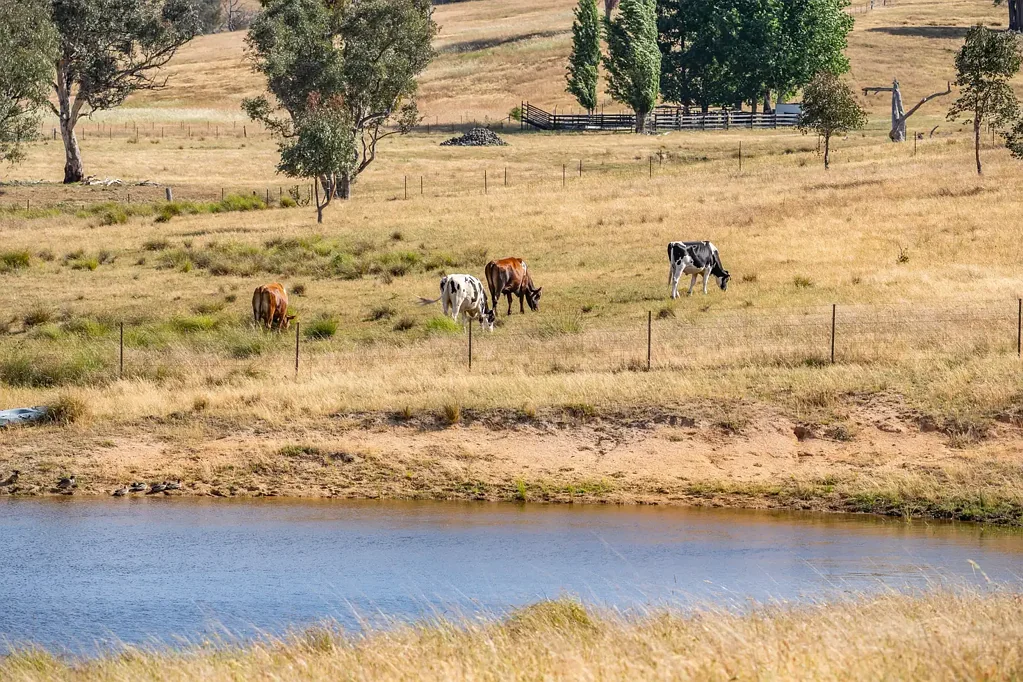 Hovells Creek  BRAND NEW HOME & HUGE SHEDS, POSITIONED ON 132 ACRES, JUST 15 MINS TO WYANGALA WATERS!