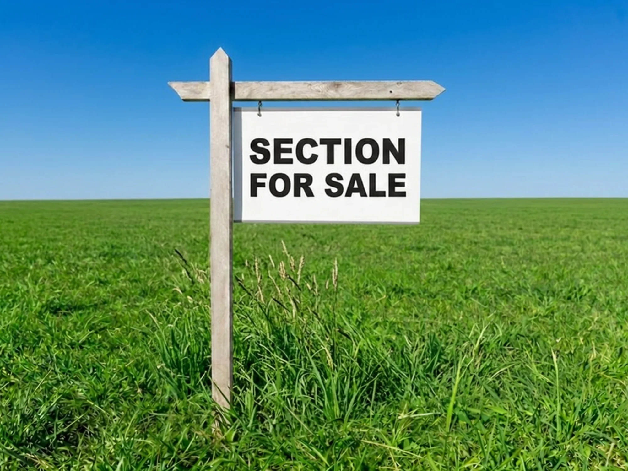 Wainui Build a Quality Home & Income in Milldale