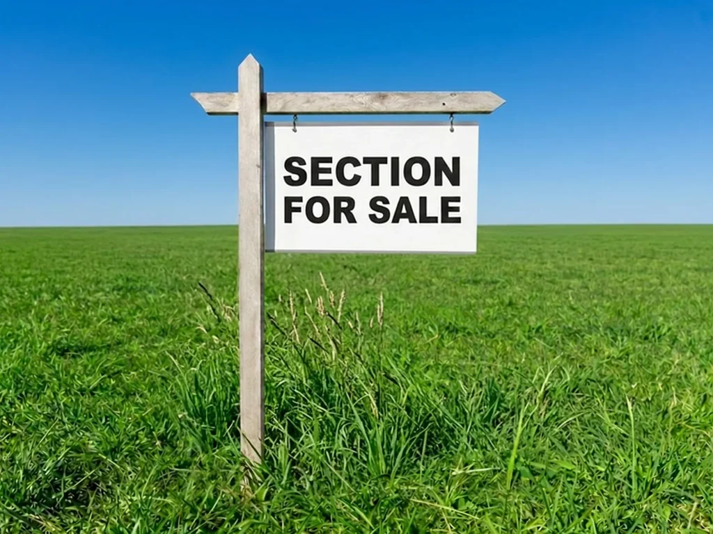 Wainui Build a Quality Home & Income in Milldale