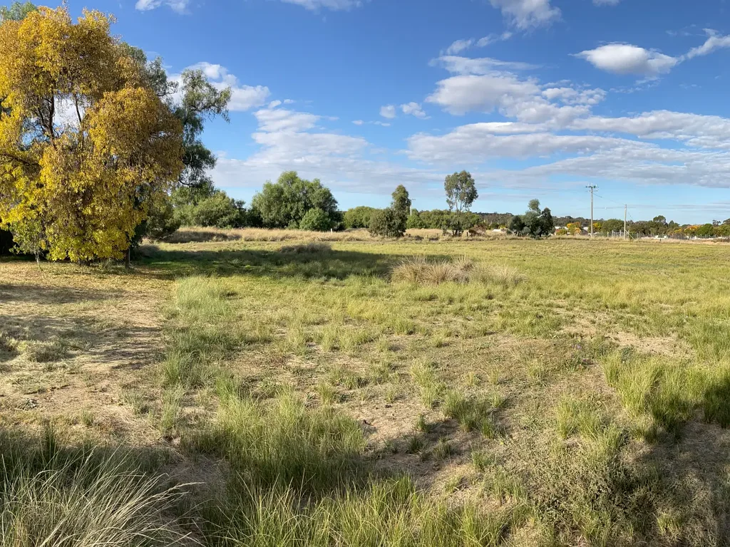 Dunolly 1.5 Acres of Residential Land offering Space, Outlook and Proximity to Town