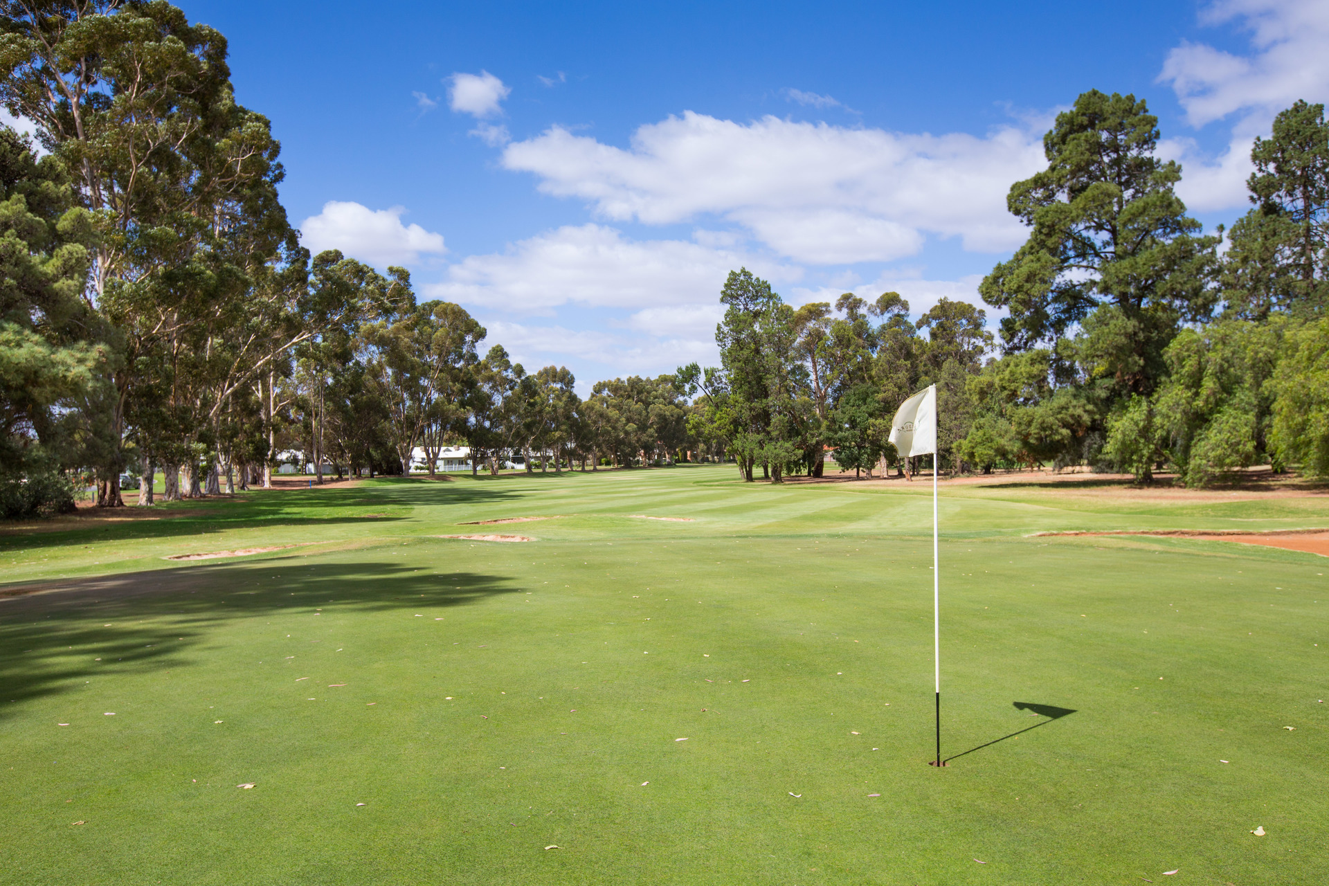 142 FAIRWAYS DR, MILDURA VIC 3500, 0 ਕਮਰੇ, 0 ਬਾਥਰੂਮ, Section