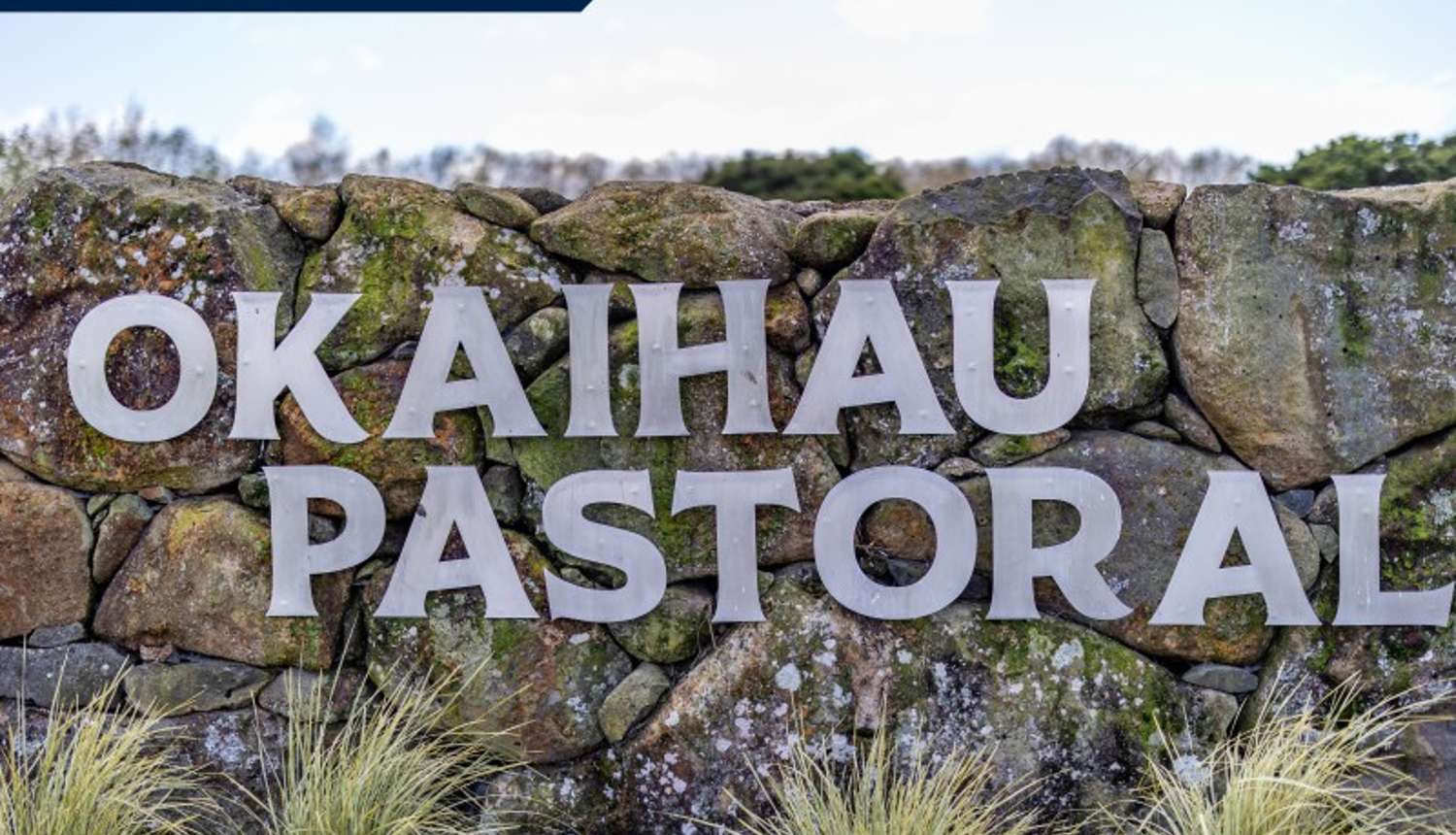 910 State Highway 1, Okaihau, Far North, 0 Kuwarto, 1 Banyo