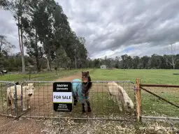 68 Higgins Road, Gidgegannup