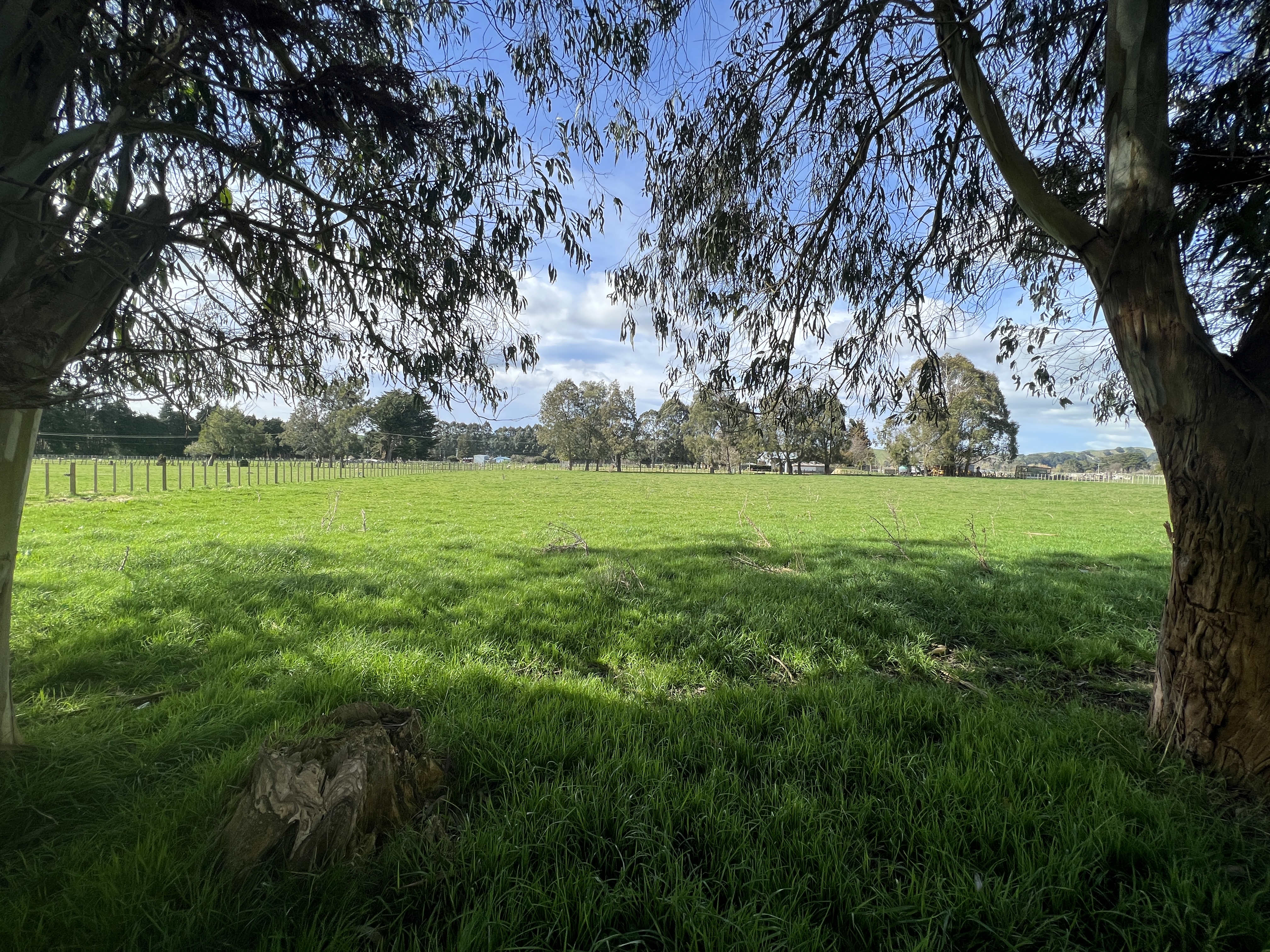 Tutaekara Road, Pahiatua, Tararua, 0 غرف, 1 حمامات, Lifestyle Section